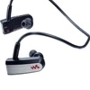  Sony Walkman NWZ-W202